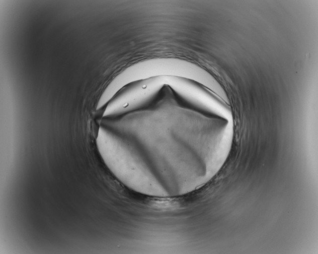 X0000094340521200711301251