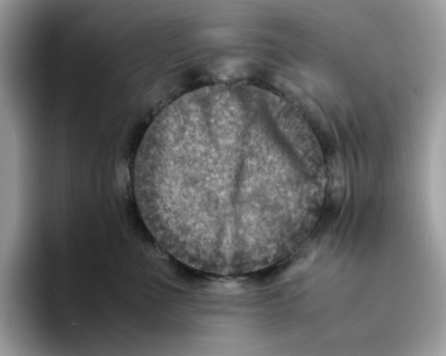 X0000094340523200711301251