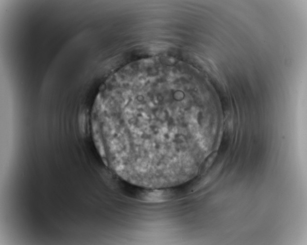 X0000094340527200711301251