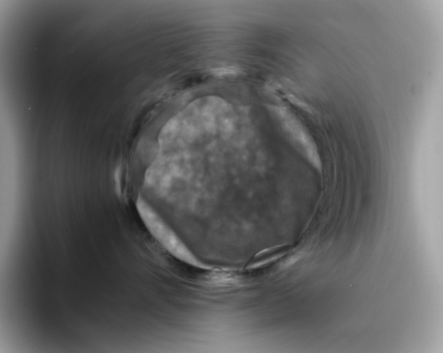 X0000094340528200711301251