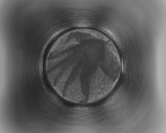 X0000094340531200711301250