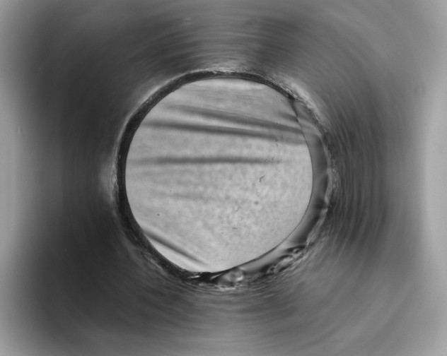 X0000094340532200711301250