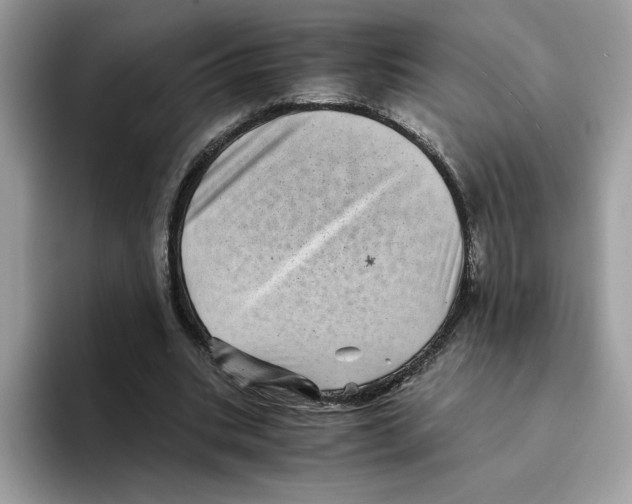 X0000094340535200711301250