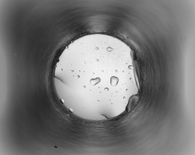 X0000094340539200711301250