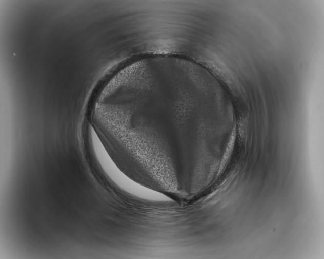 X0000094340540200711301250