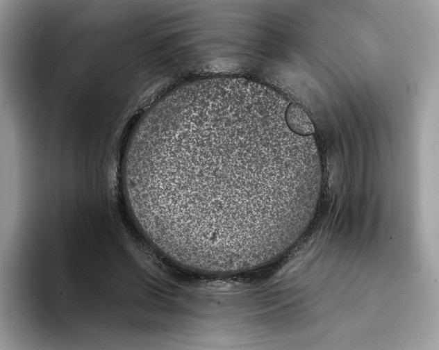 X0000094340542200711301250