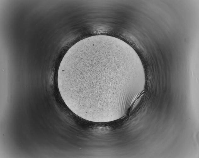 X0000094340543200711301250