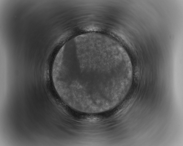 X0000094340547200711301251