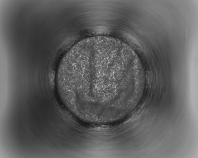 X0000094340550200711301251