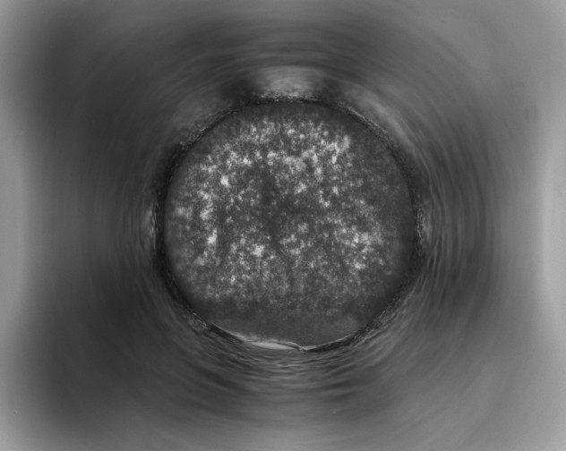 X0000094340551200711301251