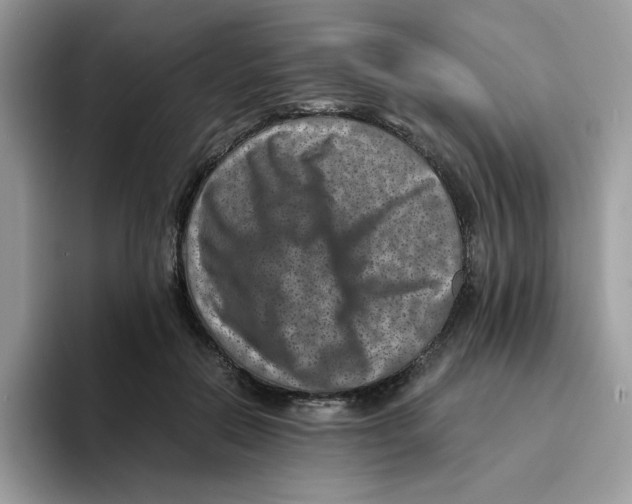 X0000094340554200711301251