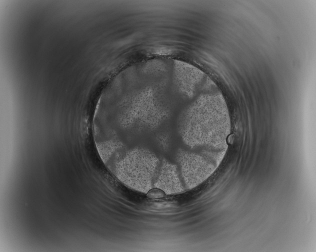 X0000094340555200711301251