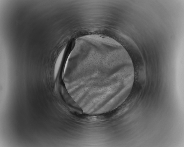 X0000094340558200711301251