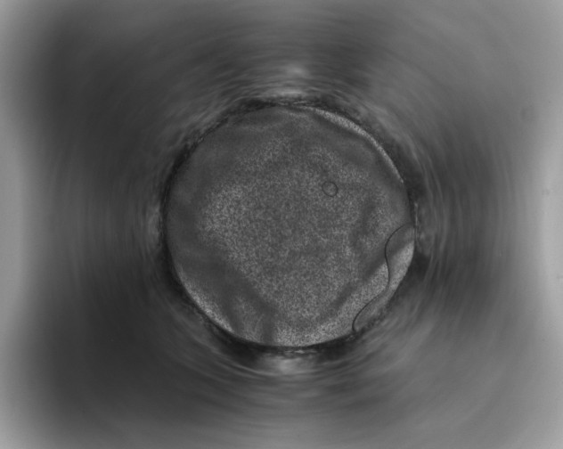 X0000094340563200711301251