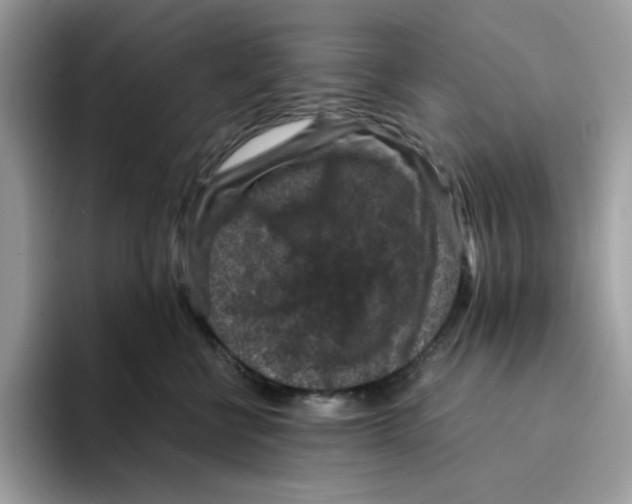 X0000094340570200711301251