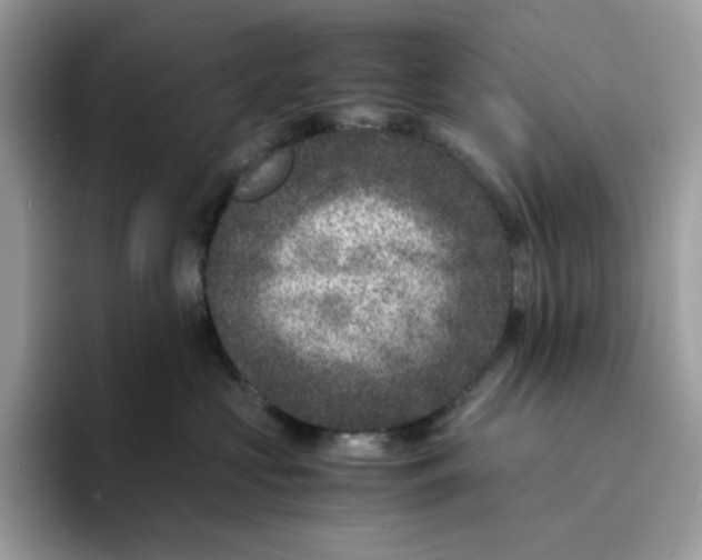 X0000094340573200711301251