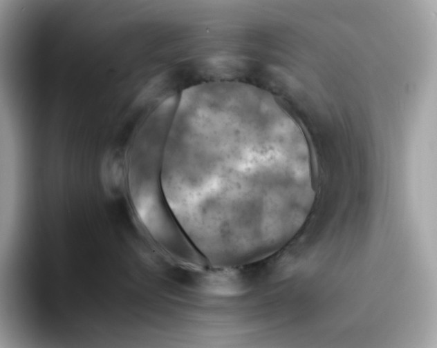 X0000094340576200711301251