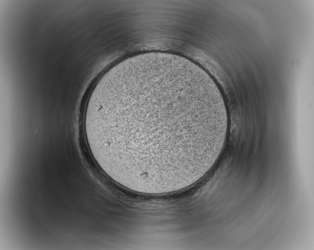 X0000094340578200711301250