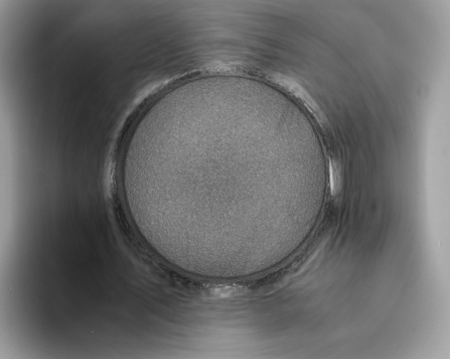 X0000094340579200711301250