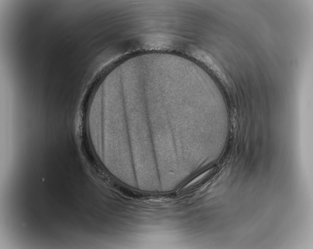 X0000094340583200711301250