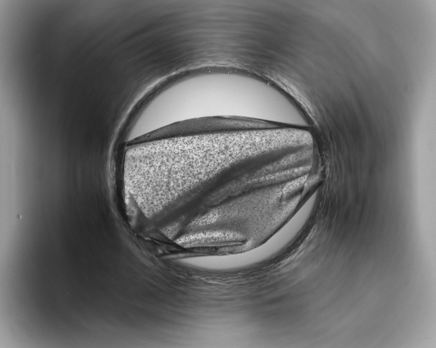 X0000094340584200711301250