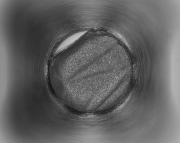 X0000094340589200711301250