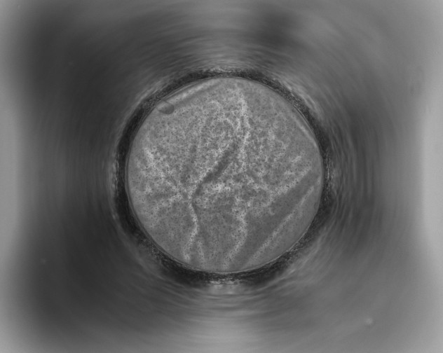 X0000094340591200711301250