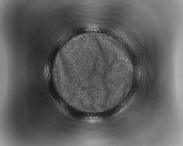 X0000094340598200711301250