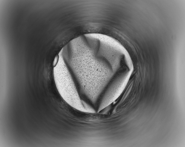 X0000094340604200711301250