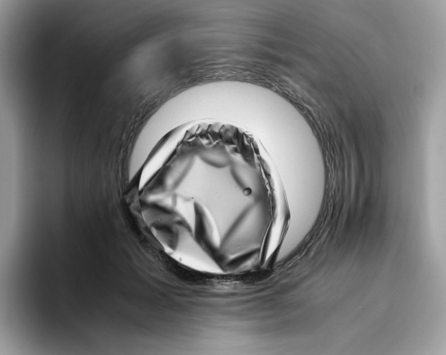 X0000094340605200711301250