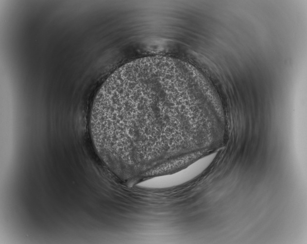 X0000094340606200711301250