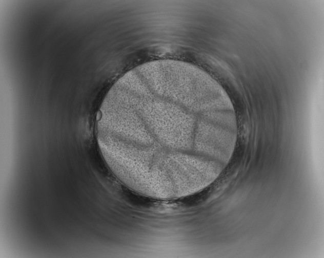 X0000094340607200711301250