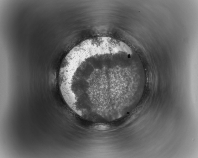 X0000094340610200711301250