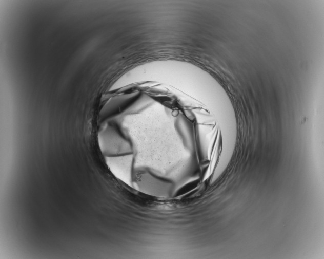 X0000094340611200711301250