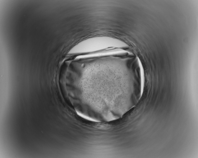 X0000094340617200711301250