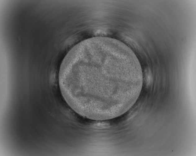 X0000094340619200711301250