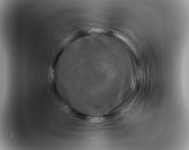 X0000094340621200711301250