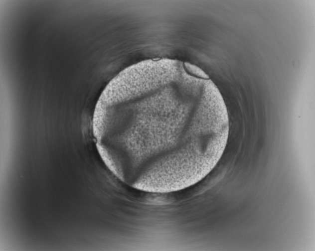 X0000094340624200711301250