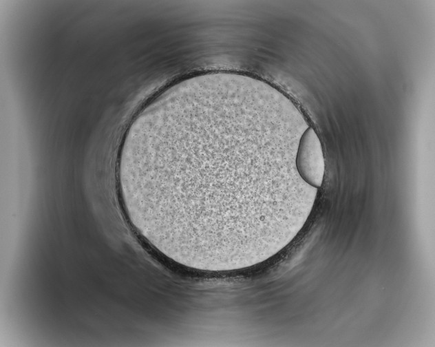 X0000094340625200711301249