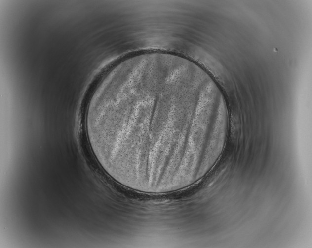 X0000094340628200711301249