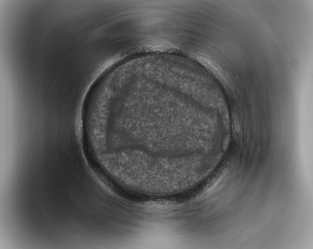 X0000094340630200711301249