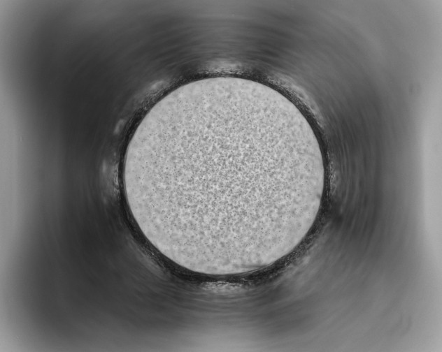 X0000094340633200711301249