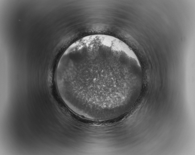 X0000094340640200711301249