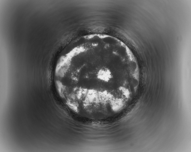 X0000094340641200711301249