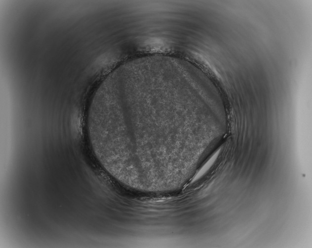 X0000094340643200711301249