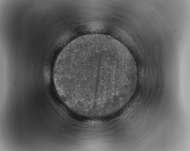 X0000094340644200711301249