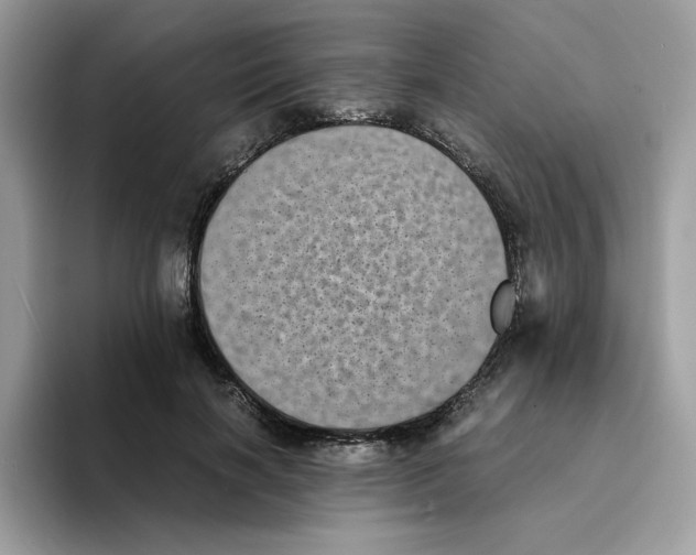 X0000094340646200711301249