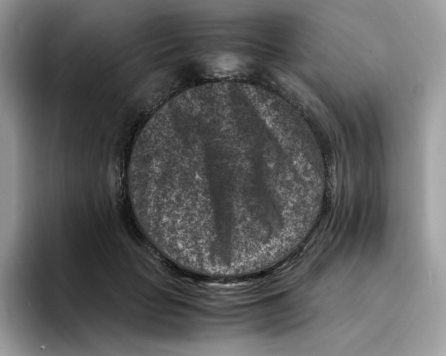 X0000094340653200711301249