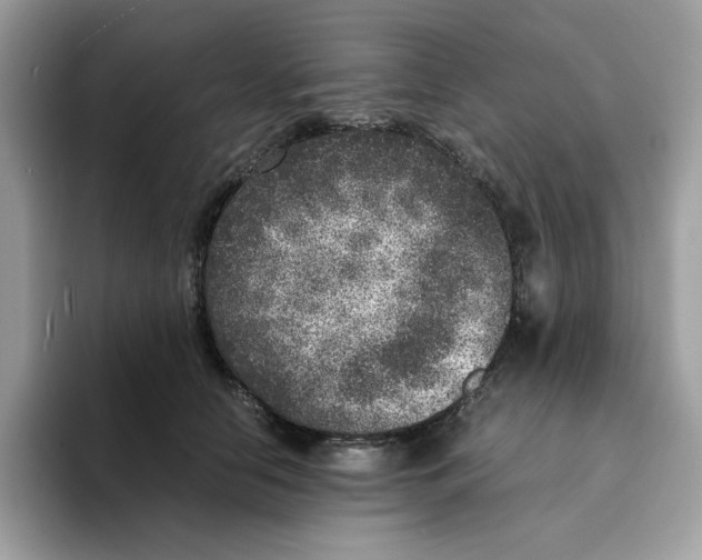 X0000094340658200711301249