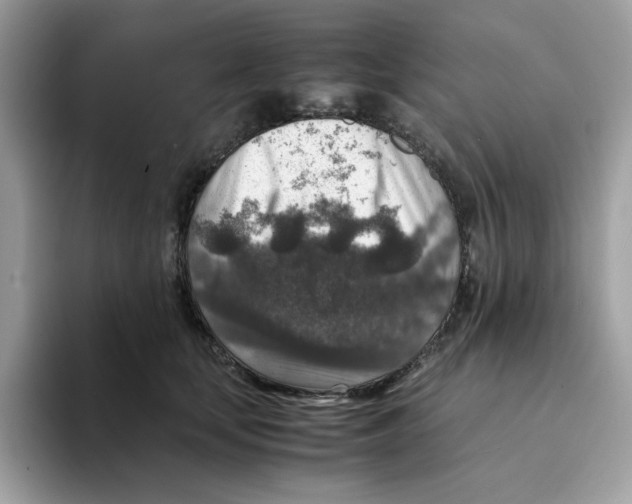 X0000094340659200711301249